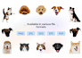 draw simple pet portrait vector for embroidery